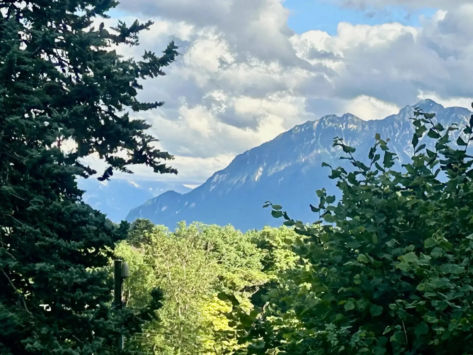 Appartamento nuovo a Lutry con giardino