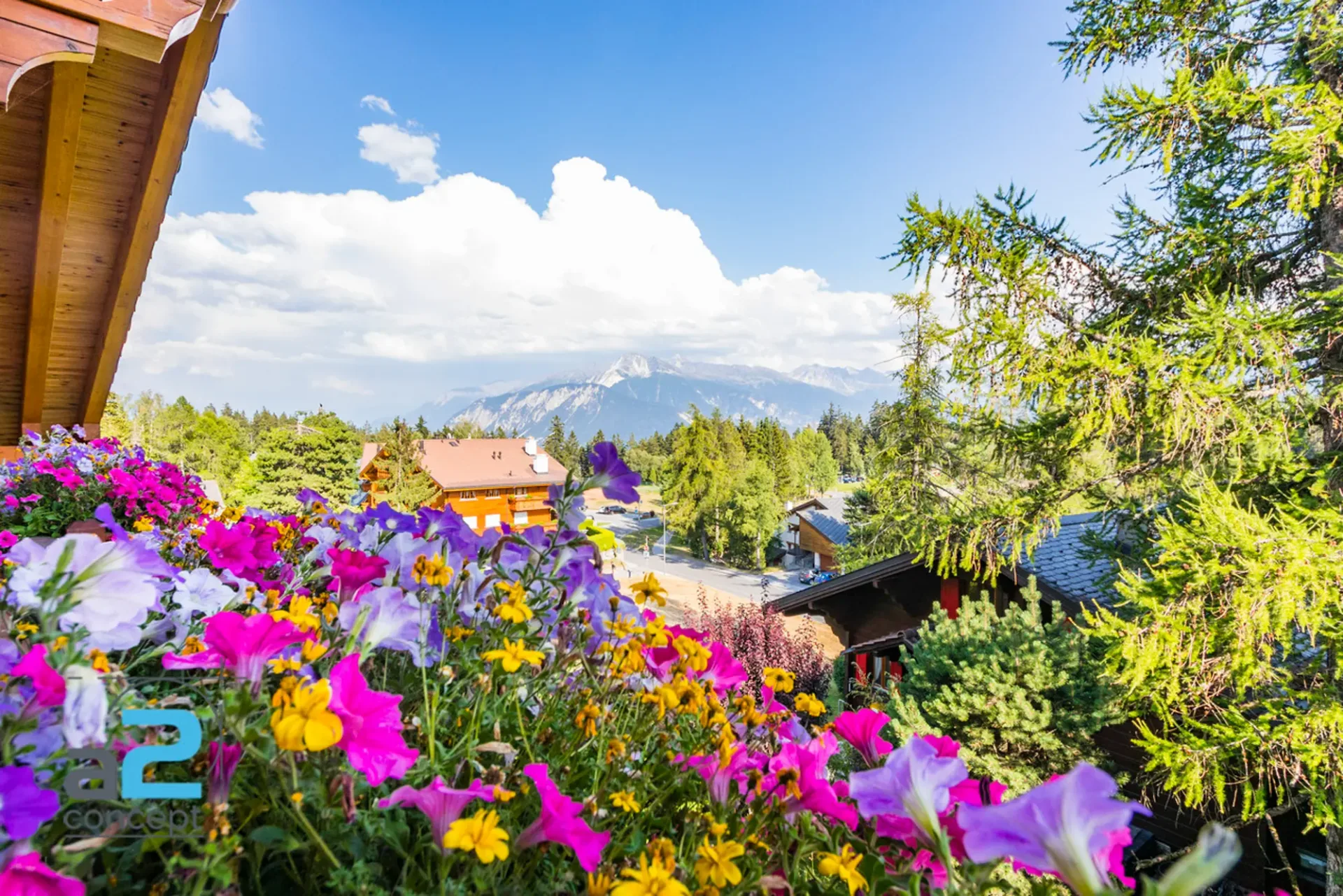 Chaleureux attique avec vue panoramique