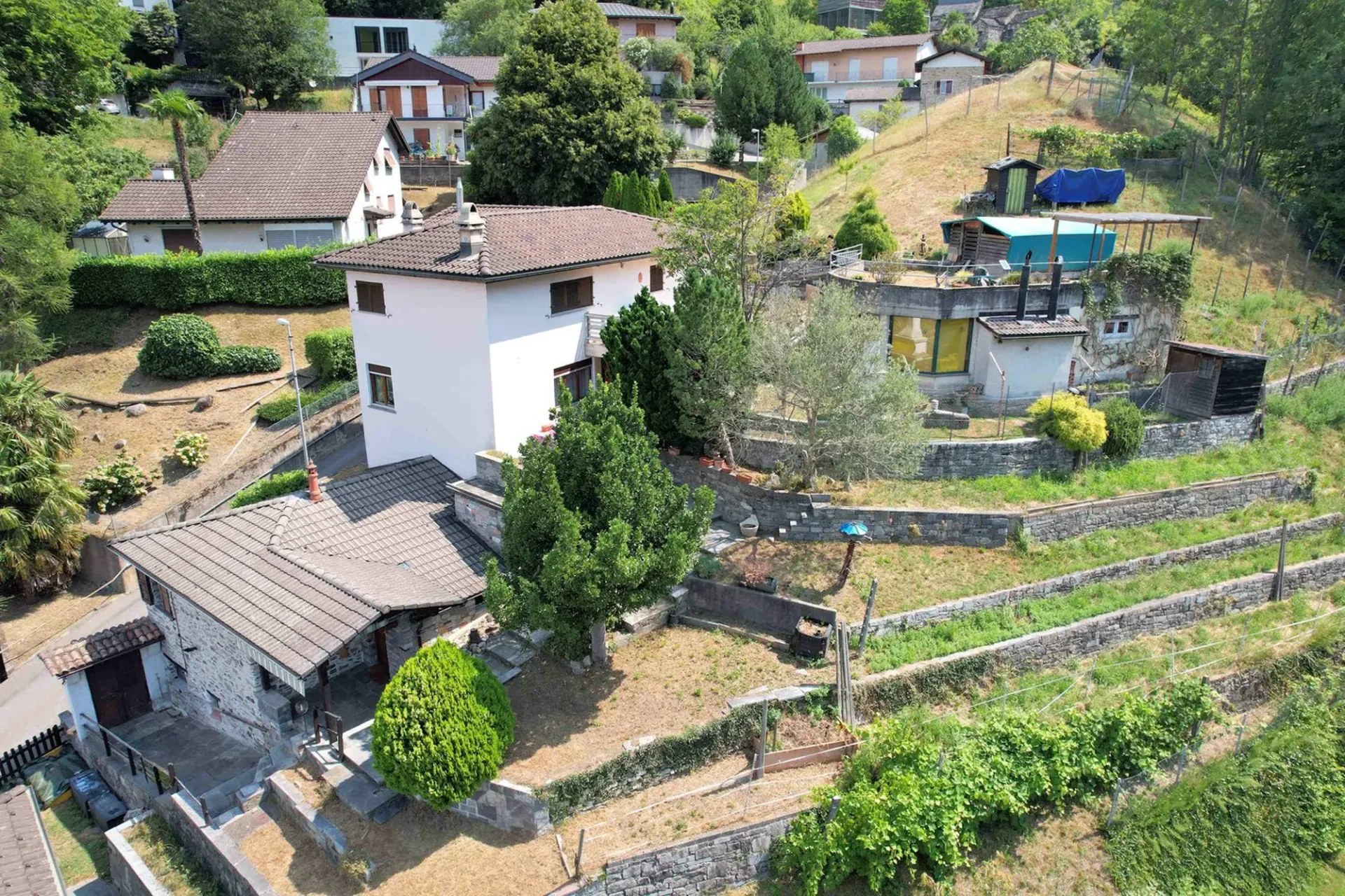 Geräumiges Haus auf dem Hügel mit Panoramablick, großes Grundstück und Steinrustico