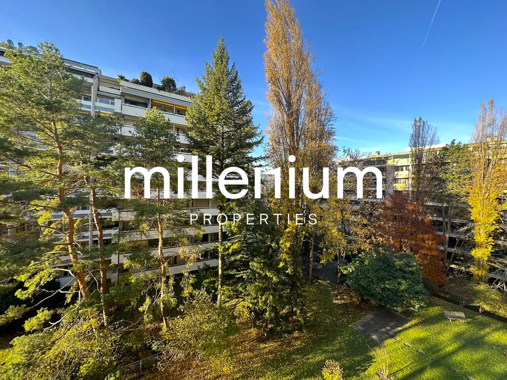 Luxurious apartment near Parc Bertrand, Champel