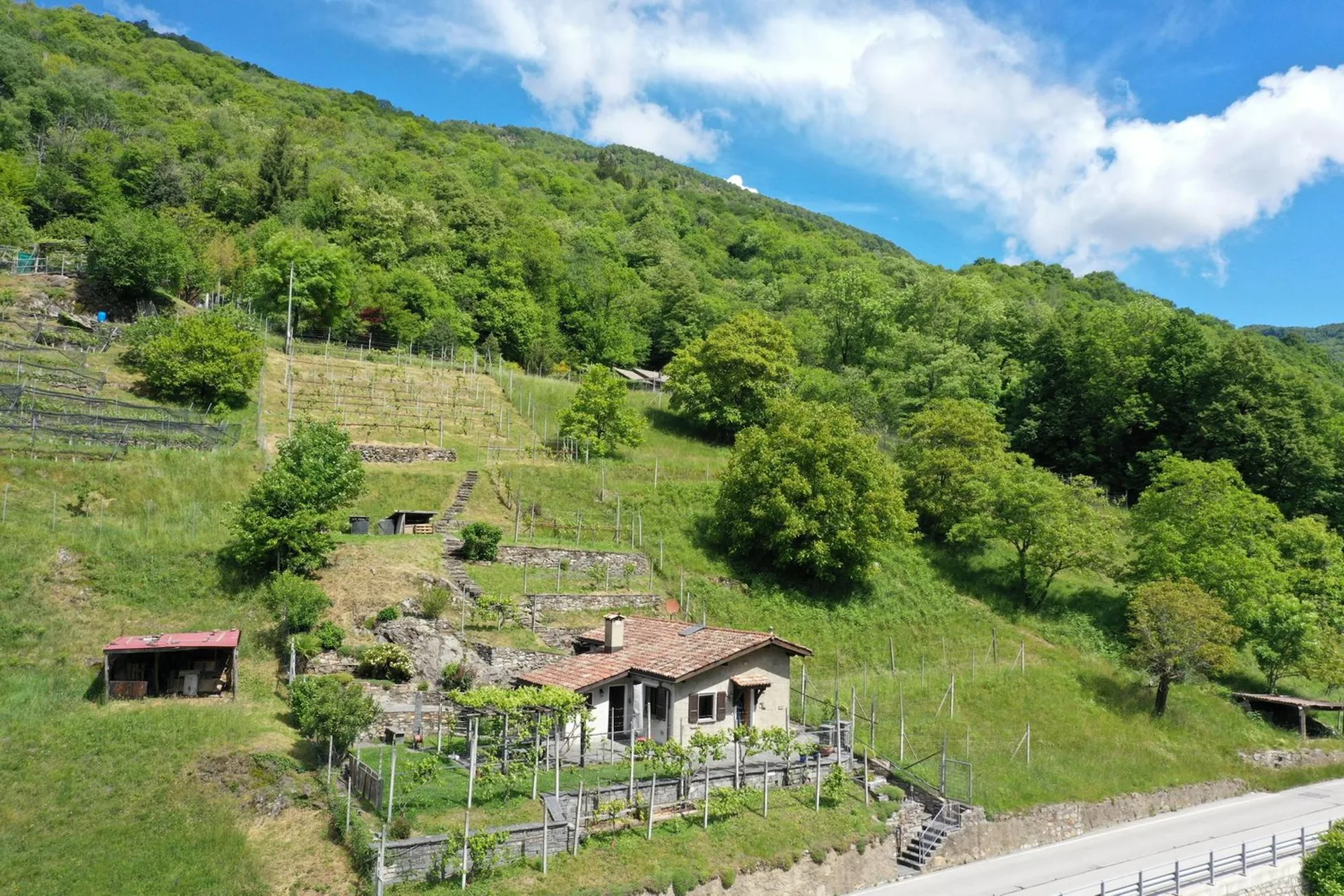 Beautiful Rustico in a quiet location and beautiful vineyard in Medeglia