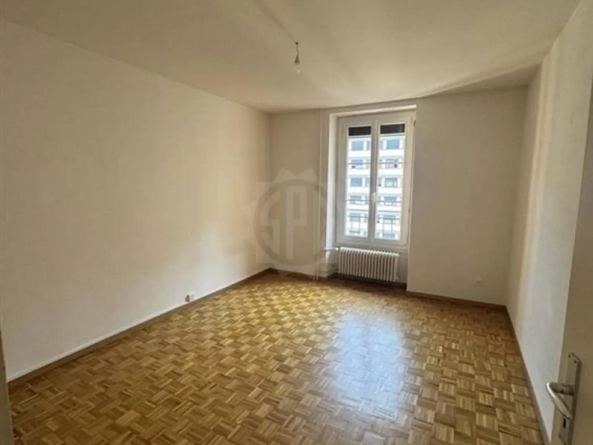 Beautiful apartment - Geneva