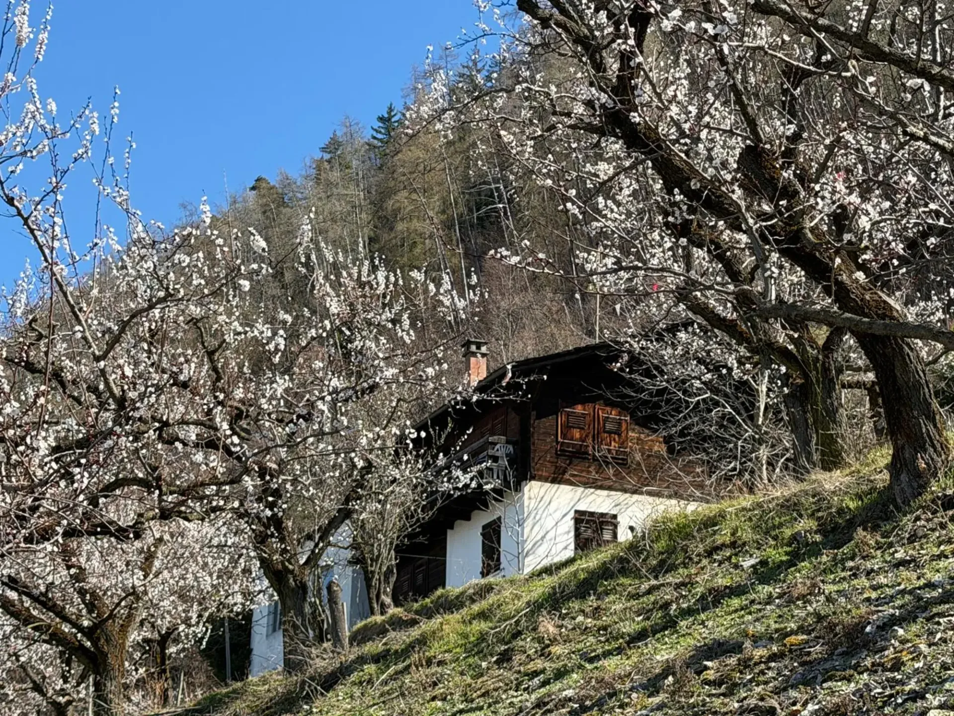 Chalet zur Renovierung in Saxon zum Verkauf