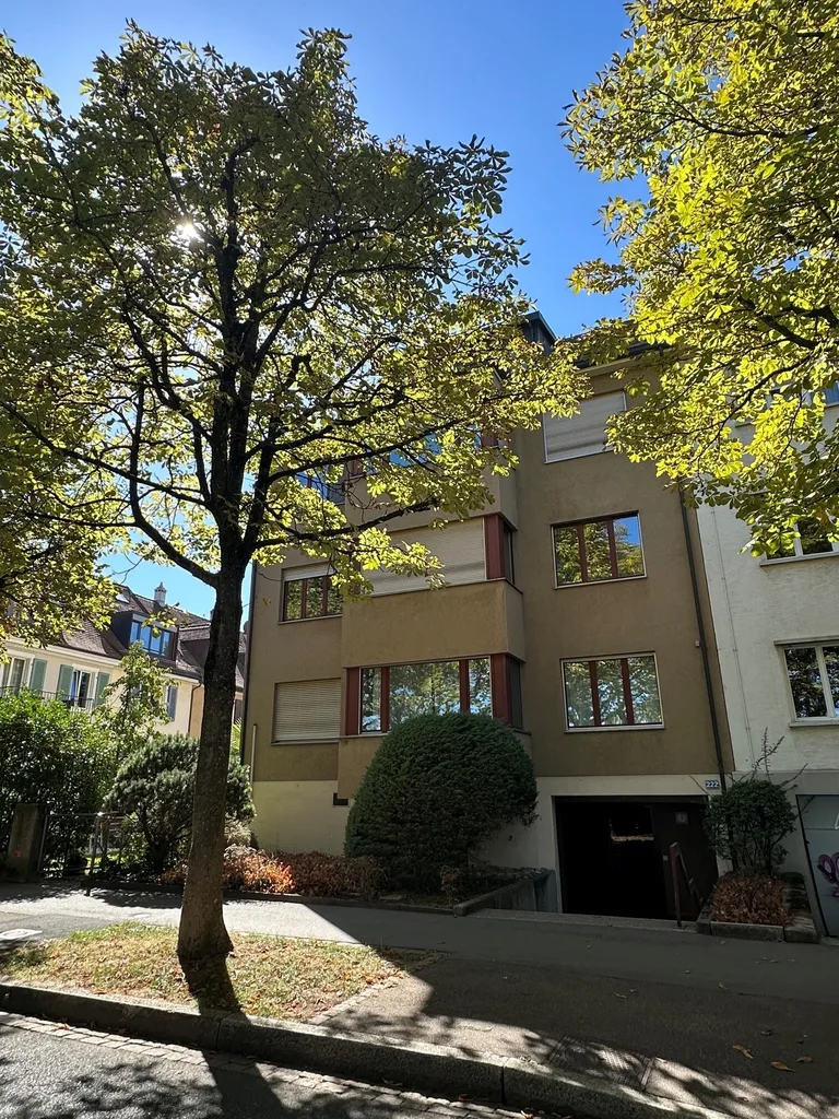 Charmante Dachwohnung mit Cheminée und sonnigem Balkon