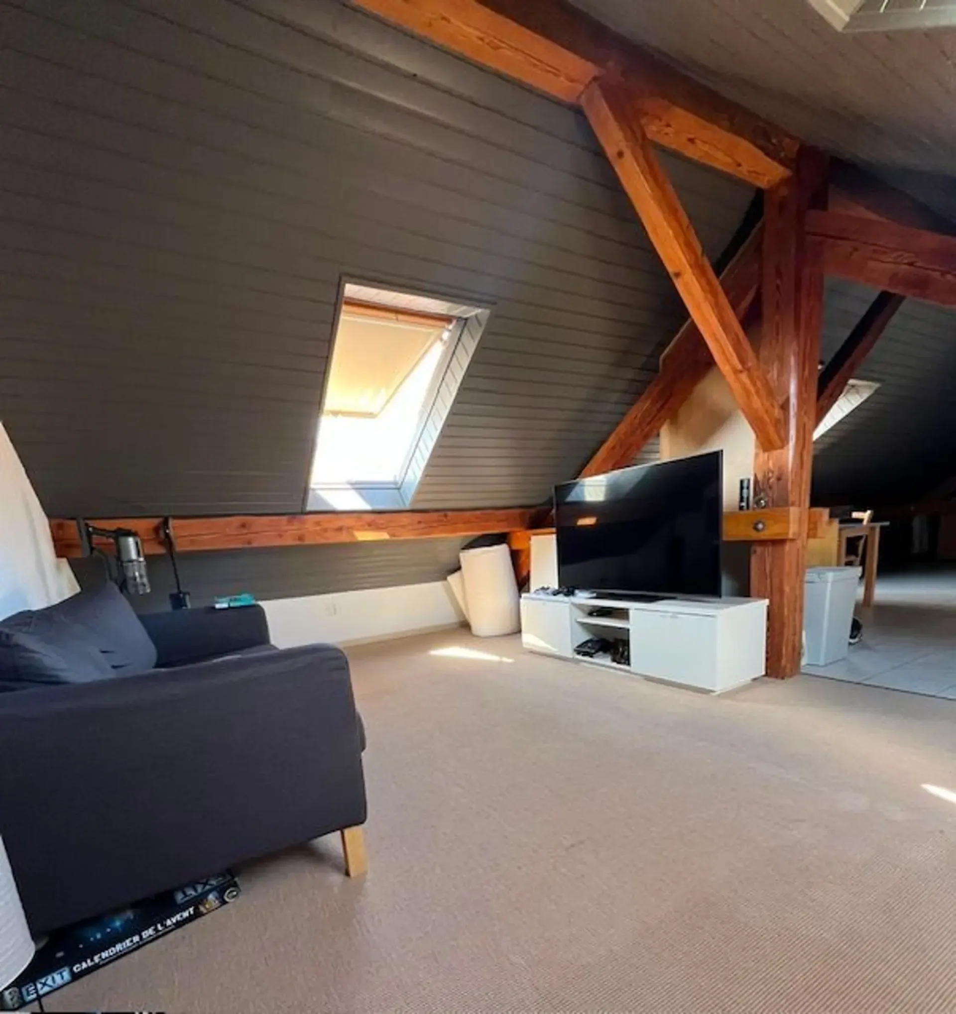 Charmant Loft meublé de 1.5 pièces dans les Combles à Etoy