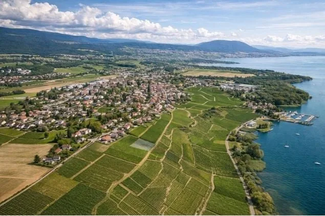 TERRAIN À BÂTIR EN BORDURE DES VIGNES – UN CADRE PRIVILÉGIÉ À CRESSIER