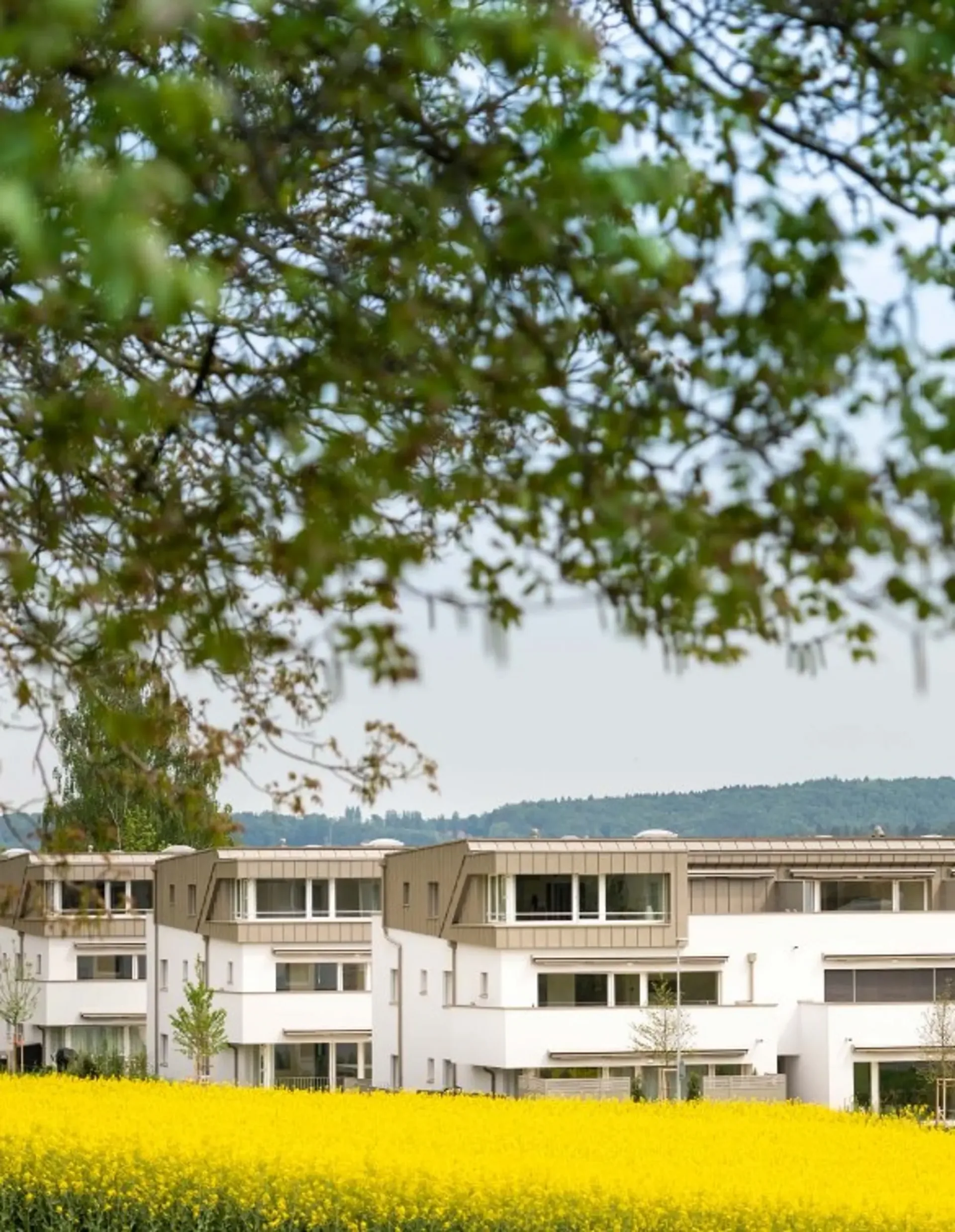 Vielseitiger Gewerberaum sucht Sie!