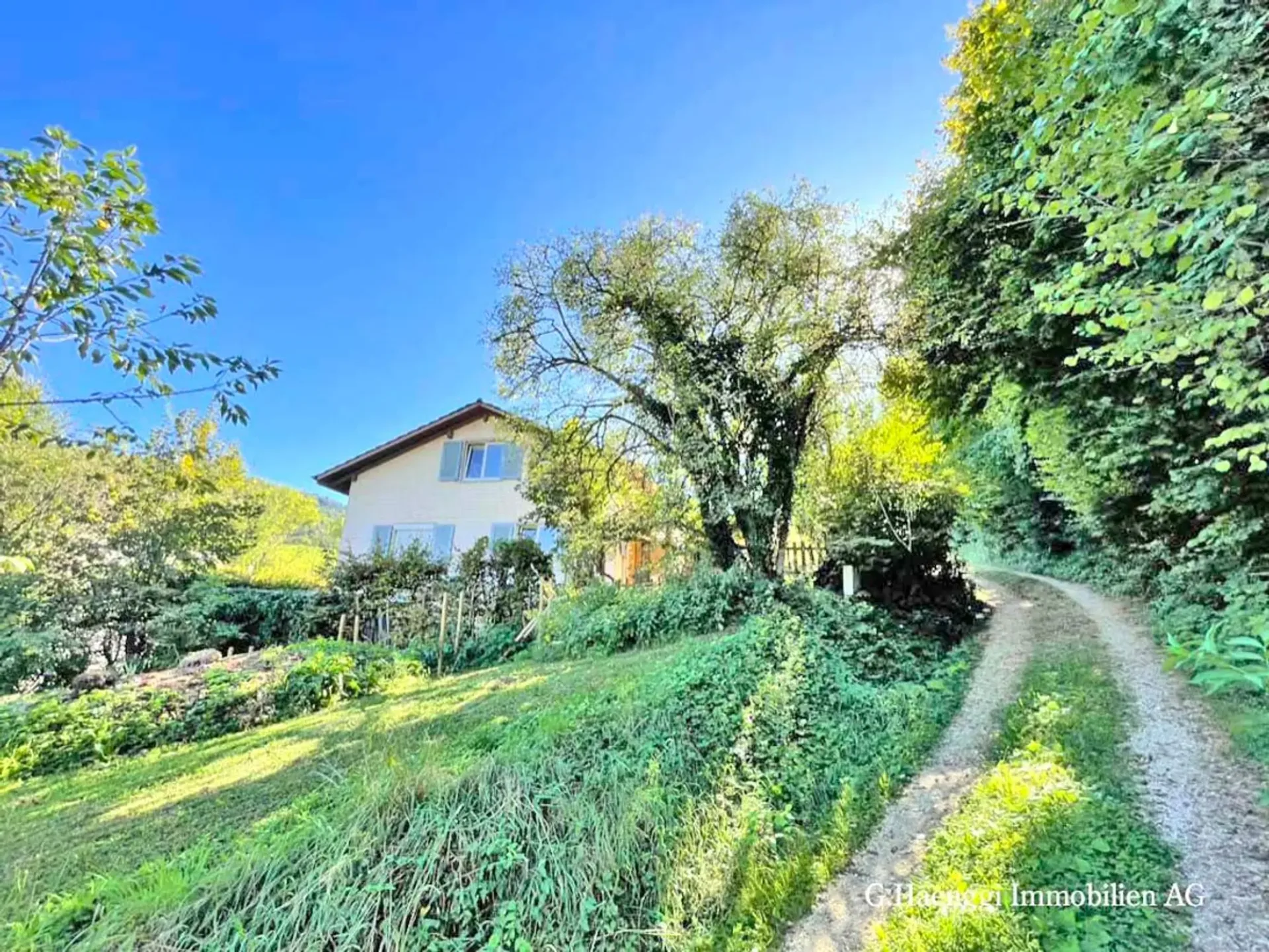 5.5 Room Single-Family Home with Potential on the Woods Edge