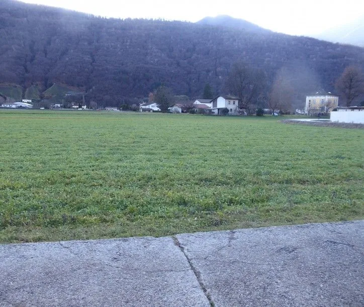 *Bosco, Wiese/Feld*