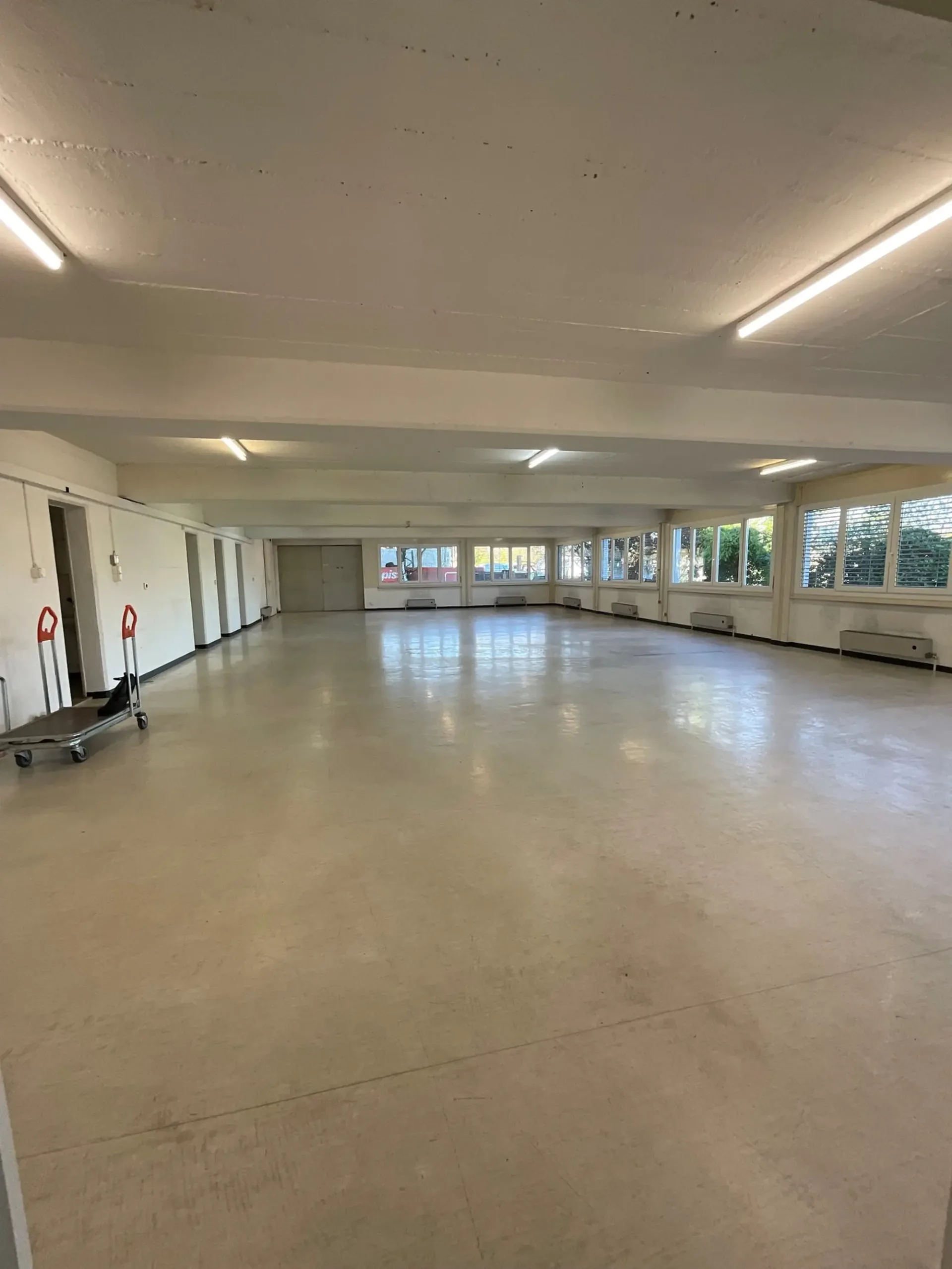Lichtdurchfluteter Gewerberaum von 255 m² mit Ladequai-Zugang