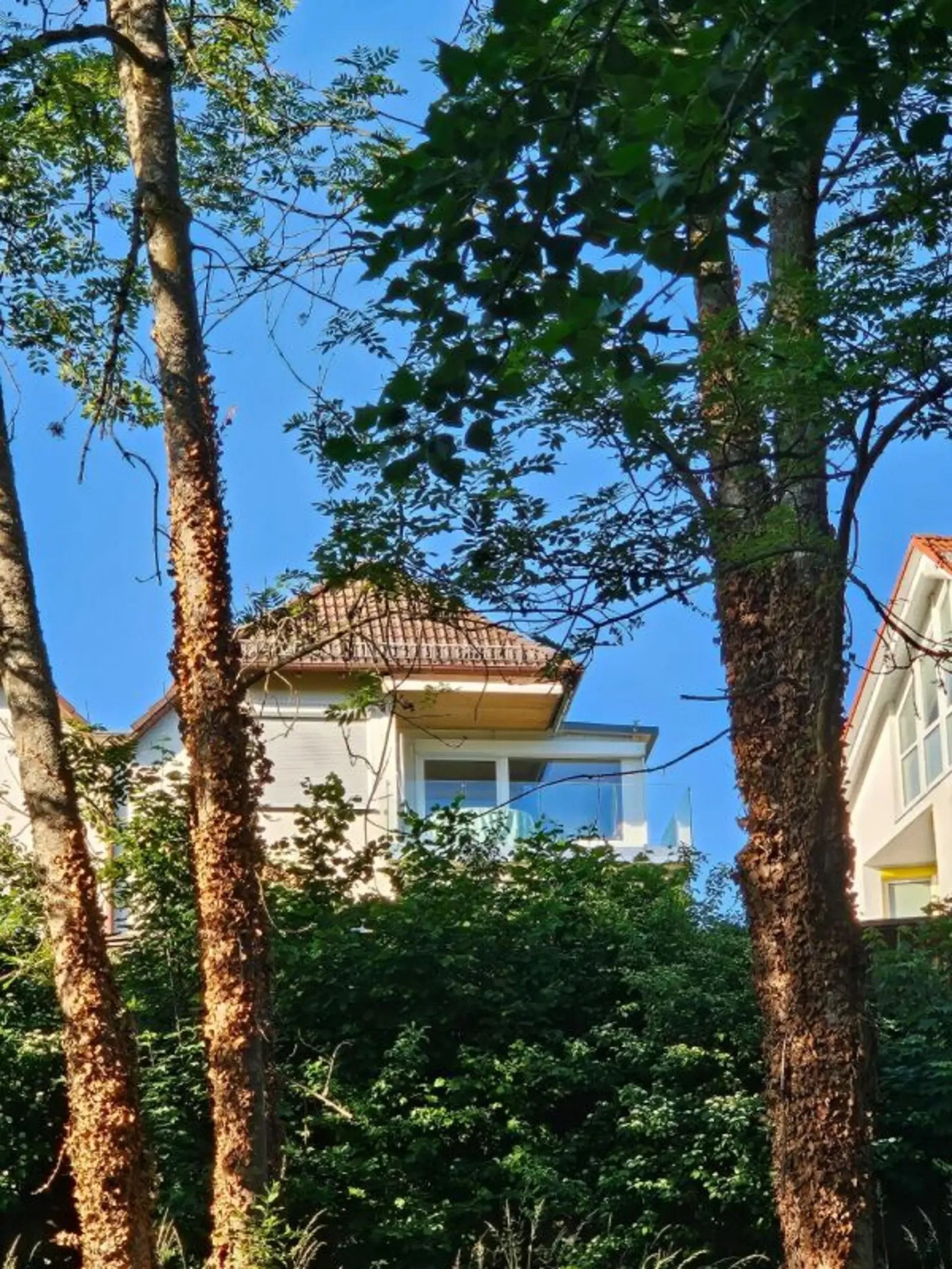 Seesichtlage in Überlingen 200 Meter zum Hafen-Ost