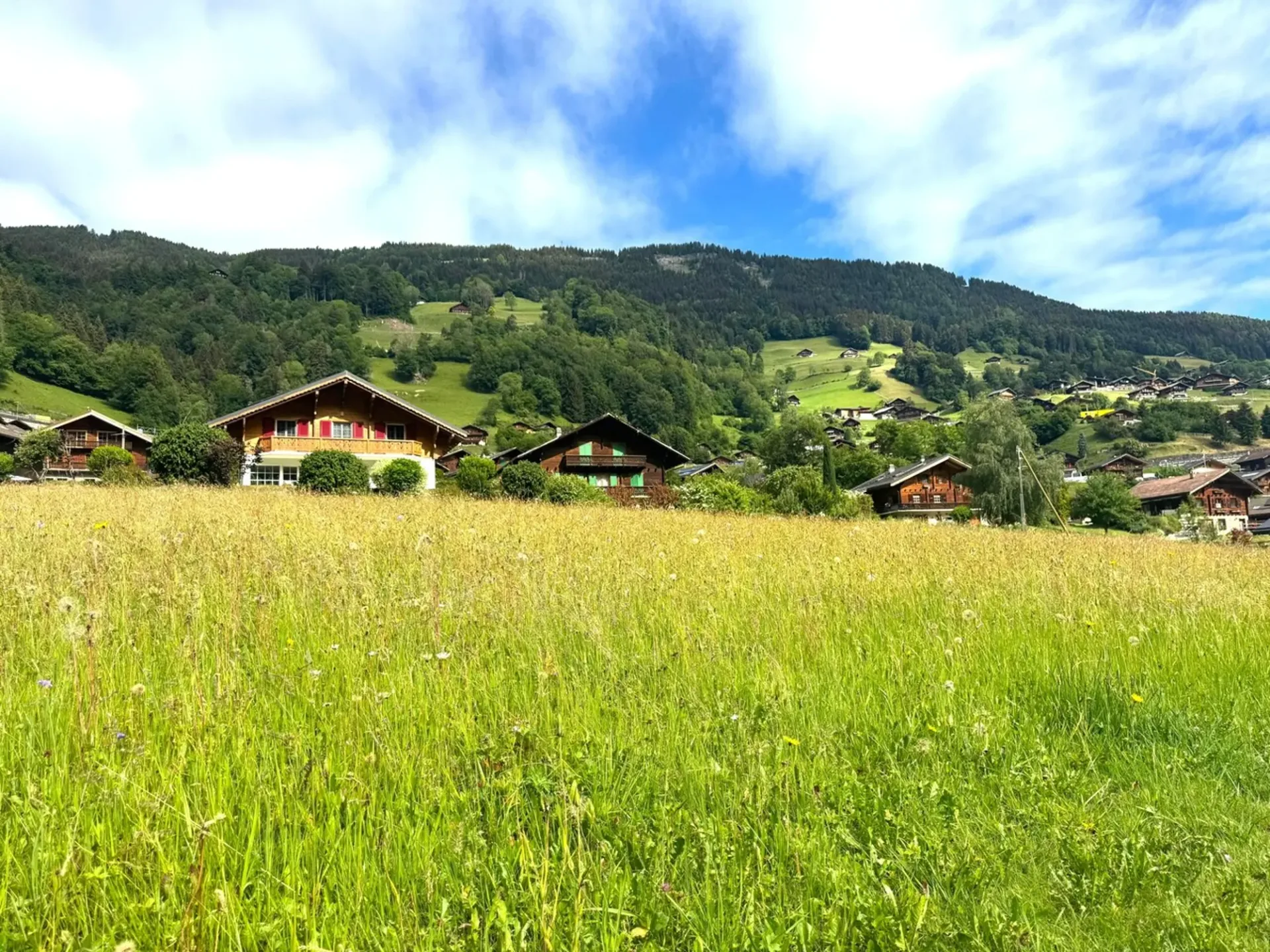 Baugrundstück von 972 m² in Val-d'Illiez