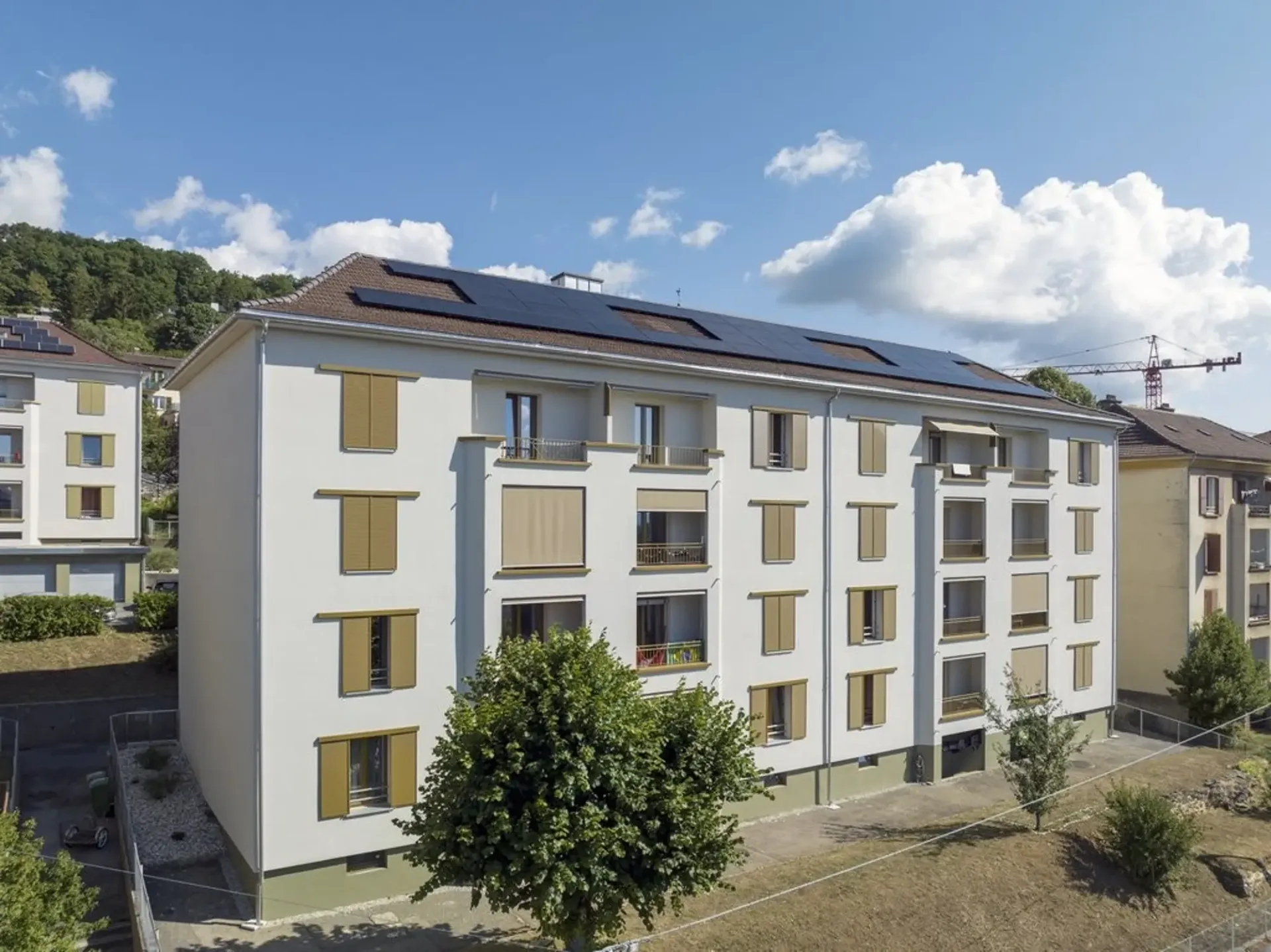 Wohnung 3 Zimmer zur Miete