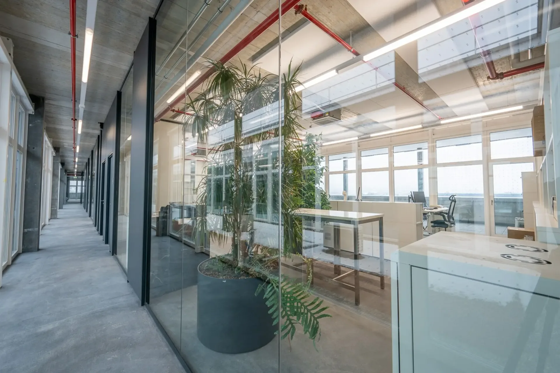 Bürofläche mit eigene grosse Rooftop Terrasse