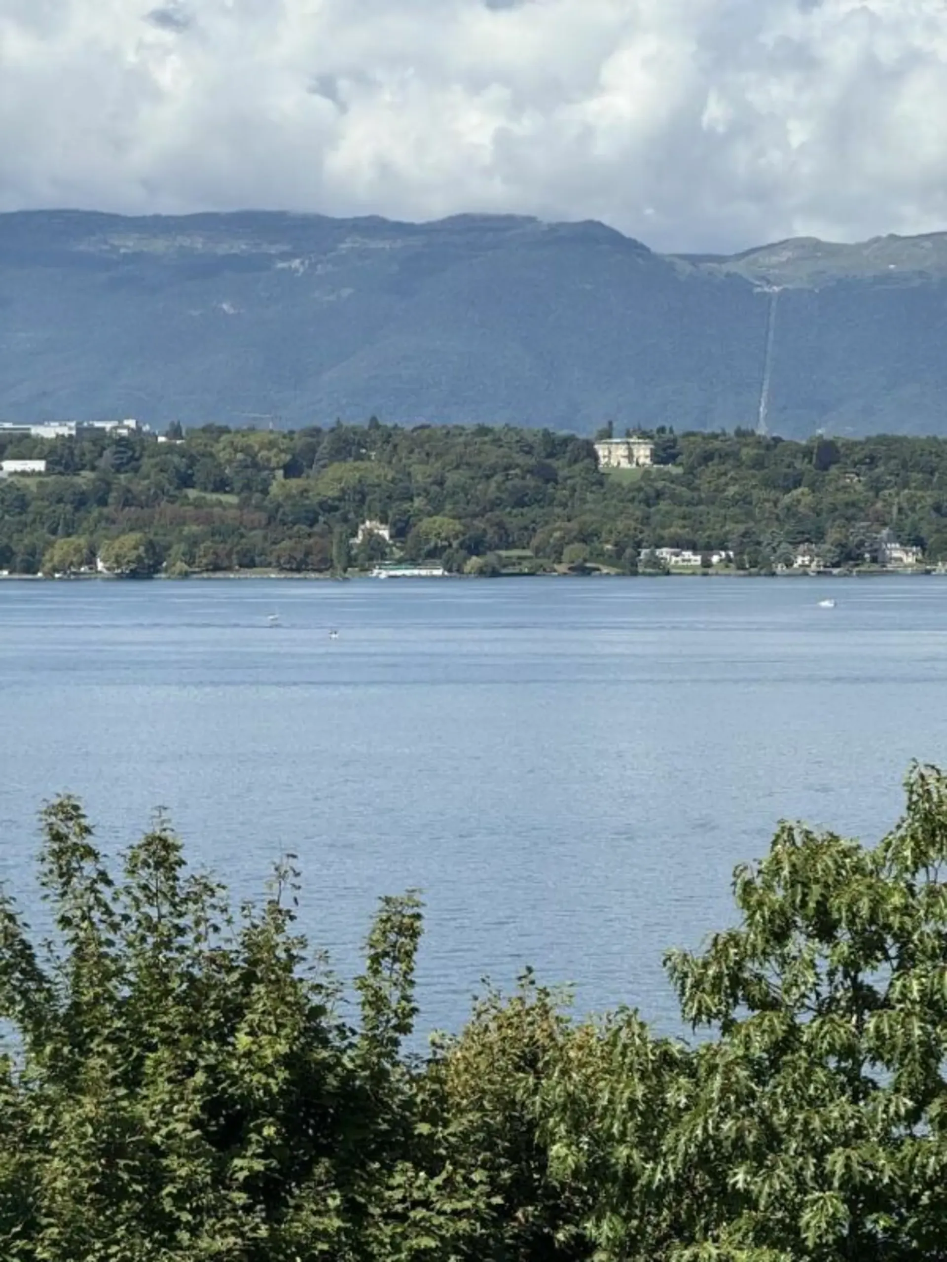 Appartement d'exception à Cologny - Vue panoramique sur le lac Léman / Appartement 10 pièces