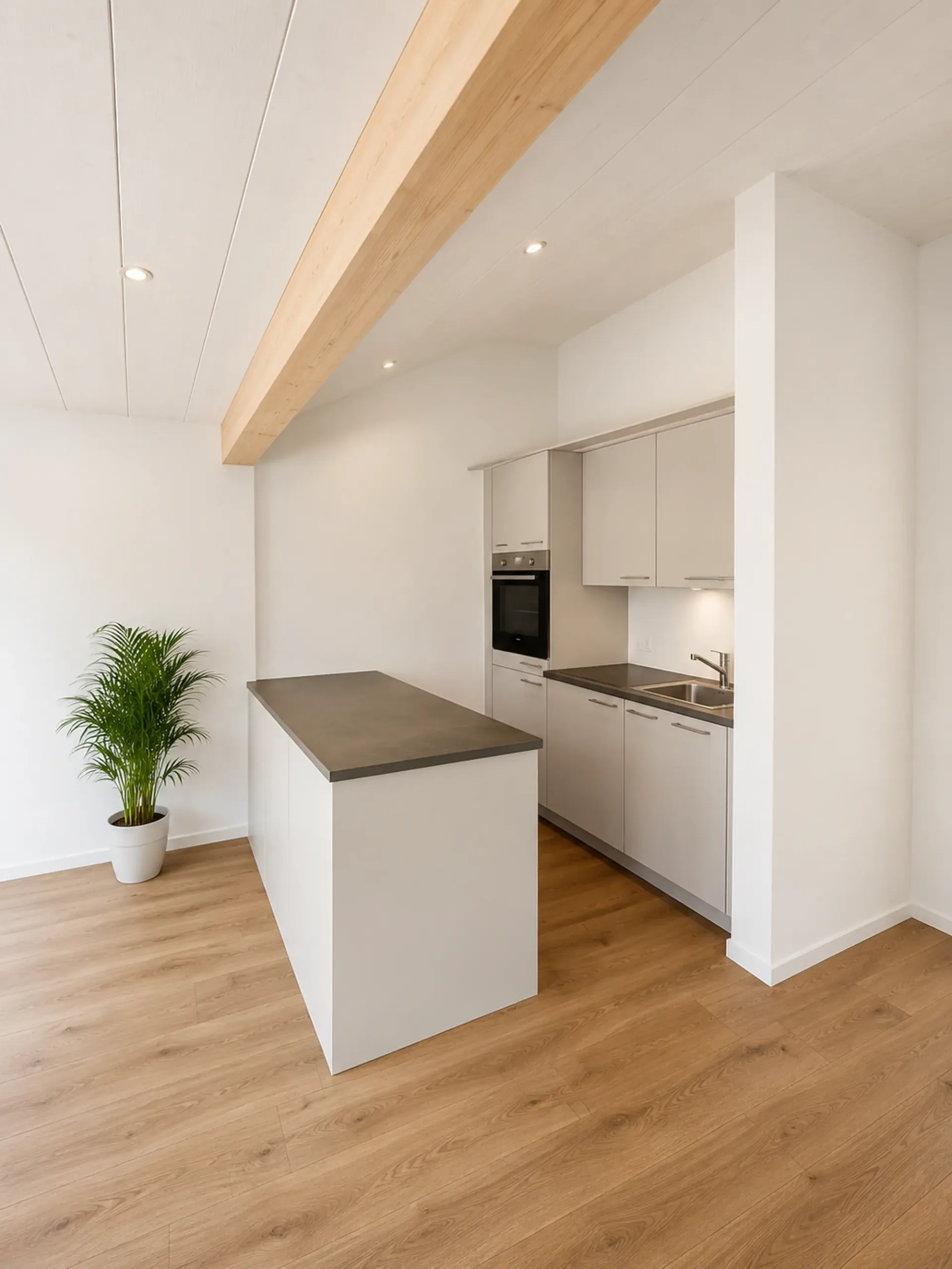 Erstvermietung nach Kernsanierung – 3.5-Zimmer-Wohnung in der Stadt Solothurn