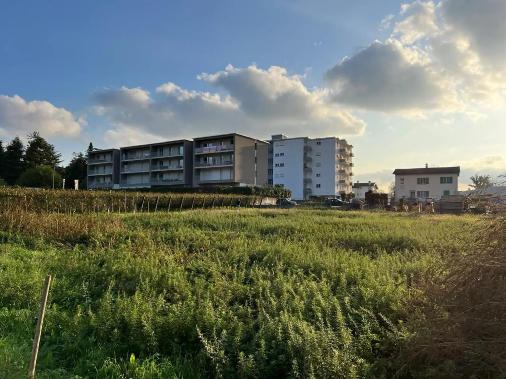 Industriegelände von ca. 2'600 m² in Mendrisio