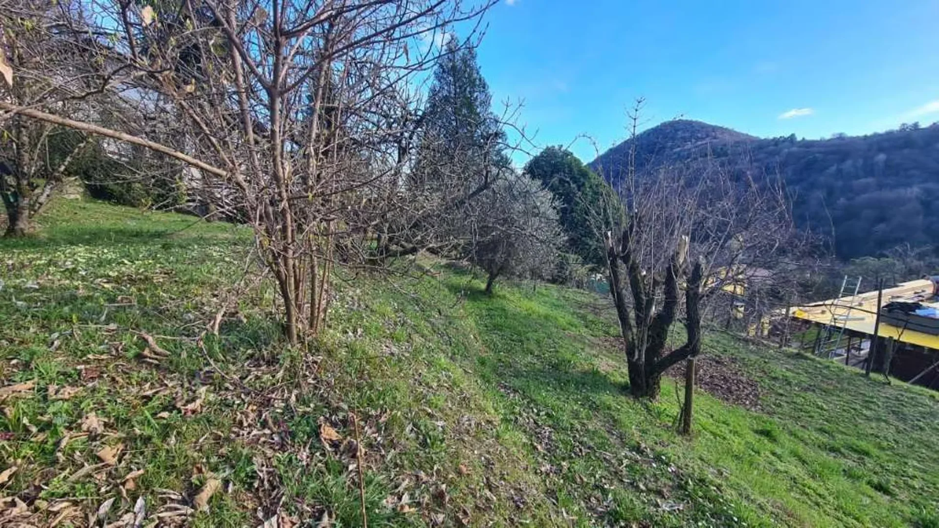 Bauland in Panoramalage: Curio