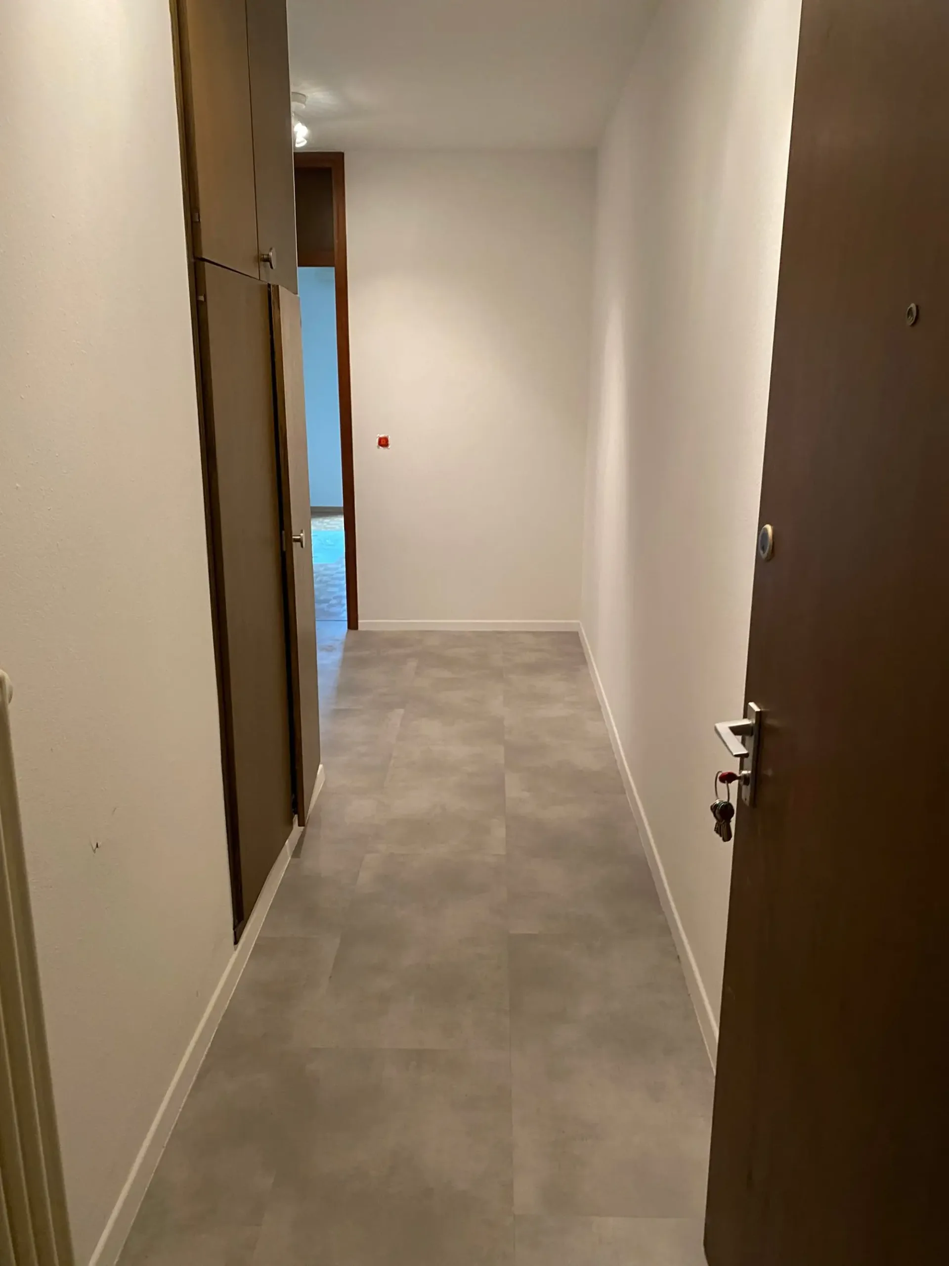 Moderno bilocale con balcone a Massagno