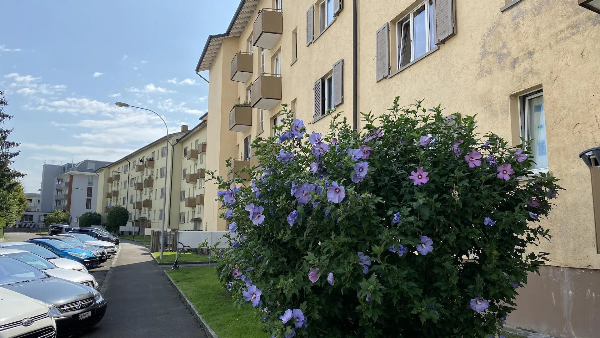 1.0 Zimmerwohnung in Schlieren (befristet)