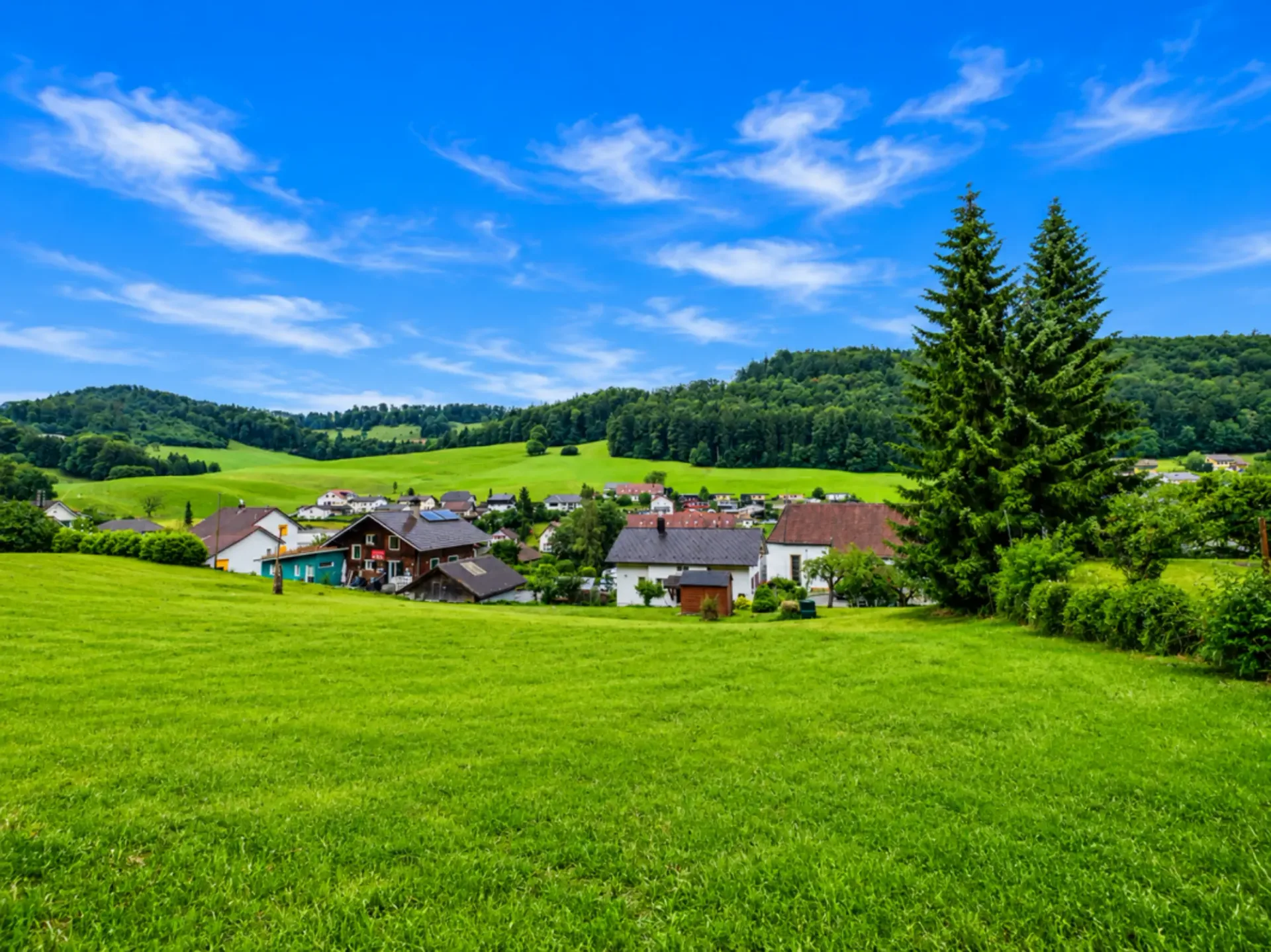 Grosszügig und hell mit Blick ins Grüne