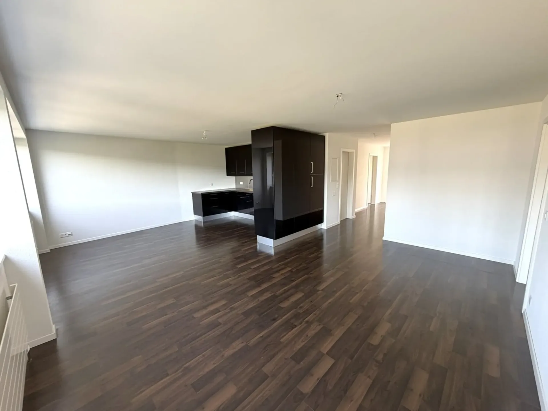 Appartement lumineux 4.5 pièces avec balcon, ascenseur et vue à Olten