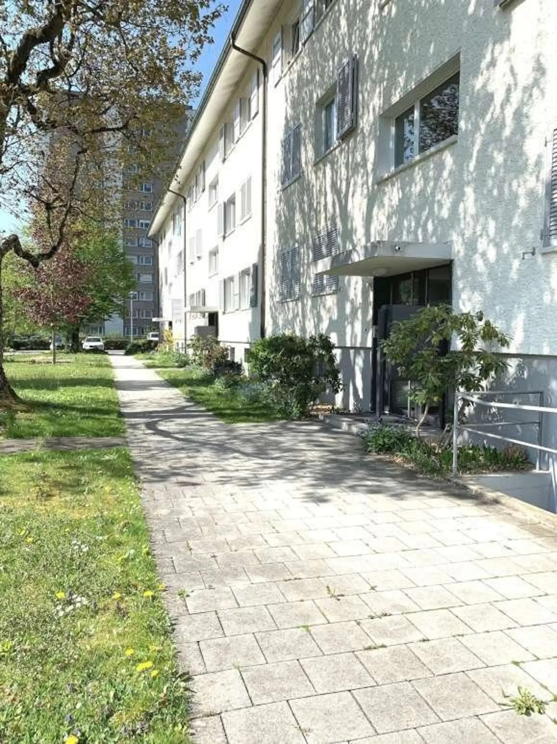 Appartement avec vue sur le verdure cherche un nouveau locataire !