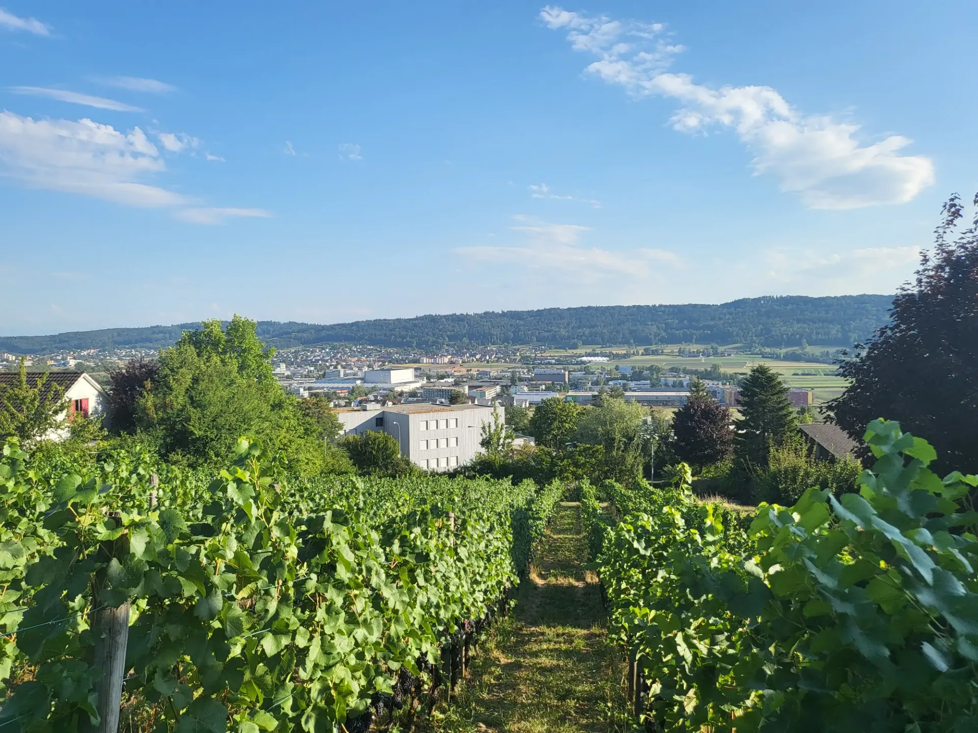 Exklusives Wohnbauland mit unverbaubarer Weitsicht in der Gemeinde ...
