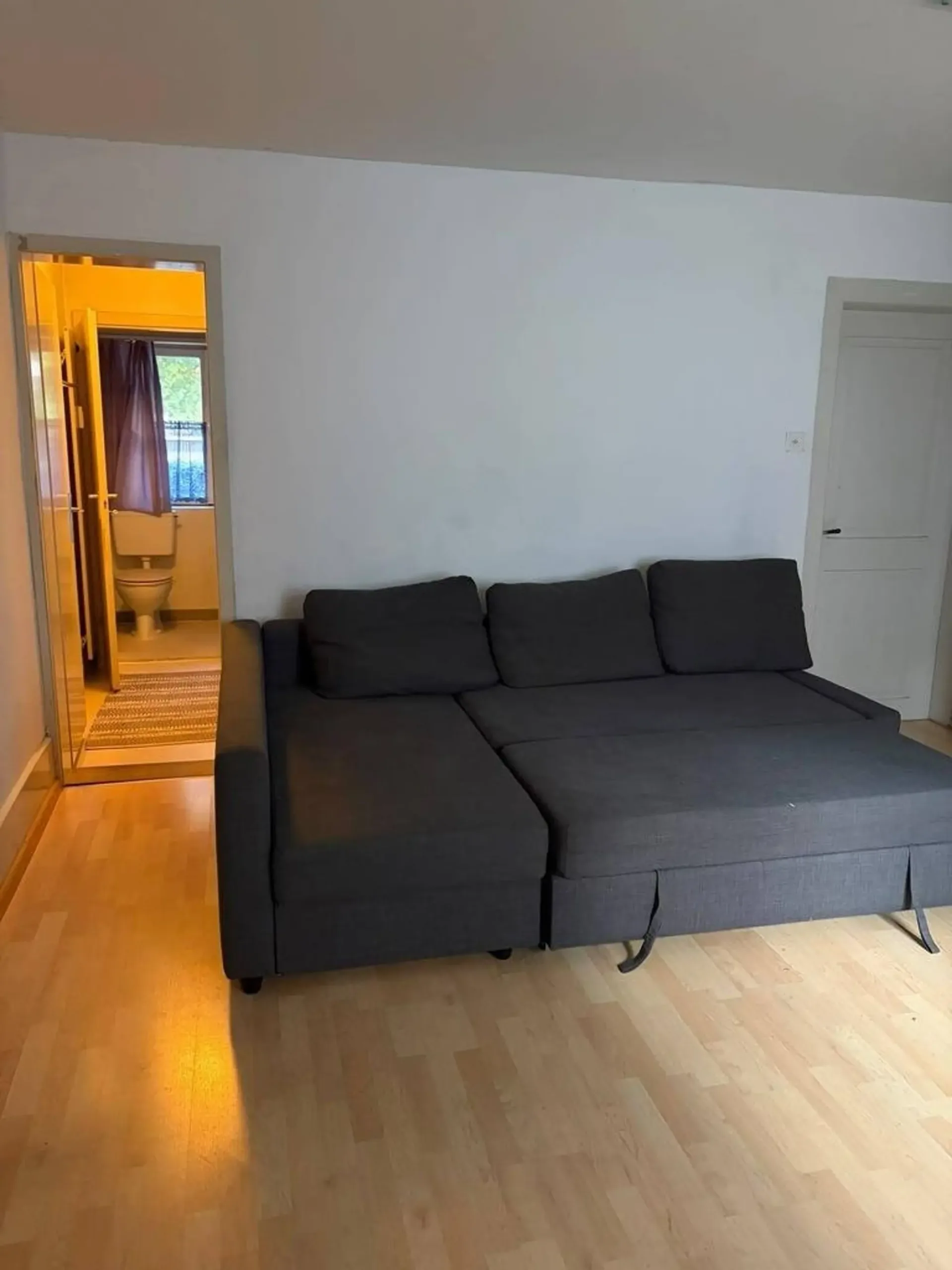 1-room apartment with separate kitchen and bathroom
