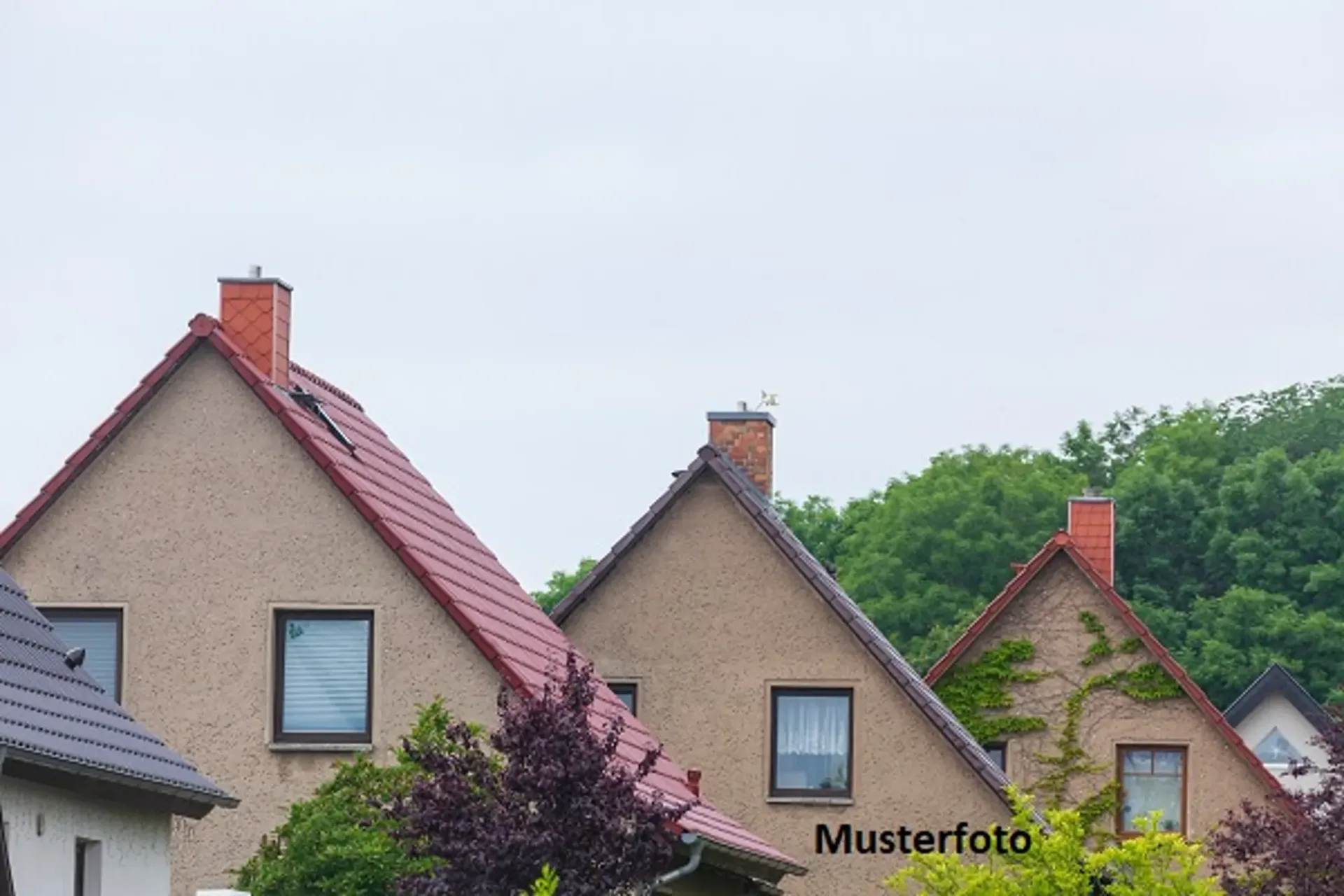Einfamilienhaus mit Hühnerstall und Keller in Capolago