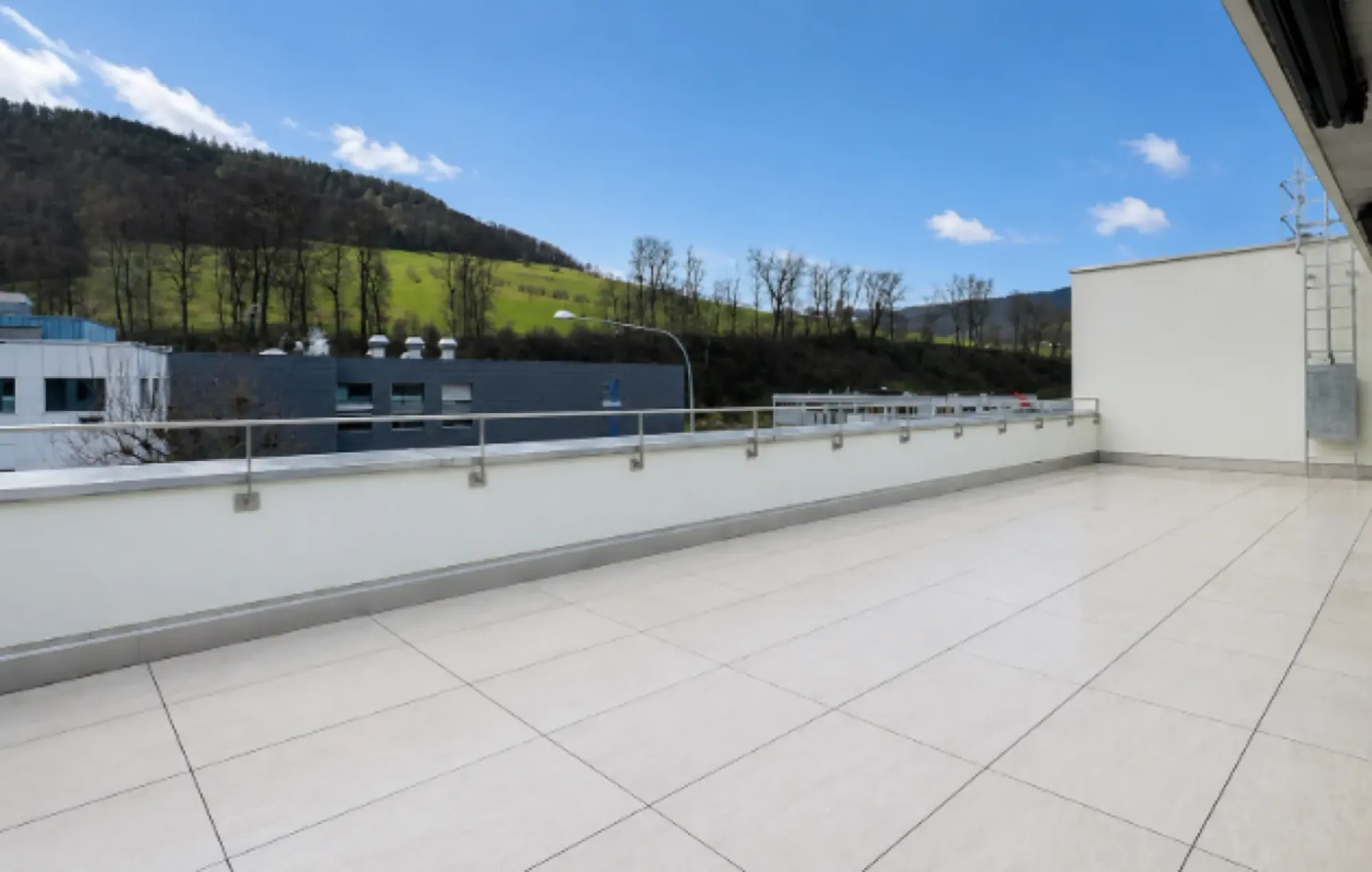 Moderne 3.5-Zimmer-Attikawohnung mit 66 m² Terrasse
