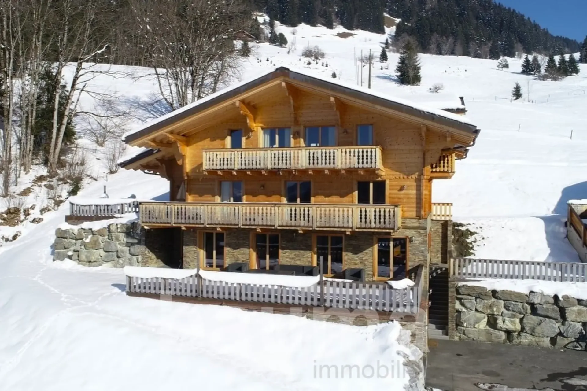 Chalet mit zwei Wohnungen