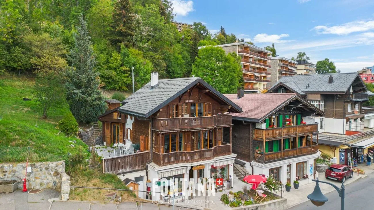 Chalet de caractère avec rendement locatif