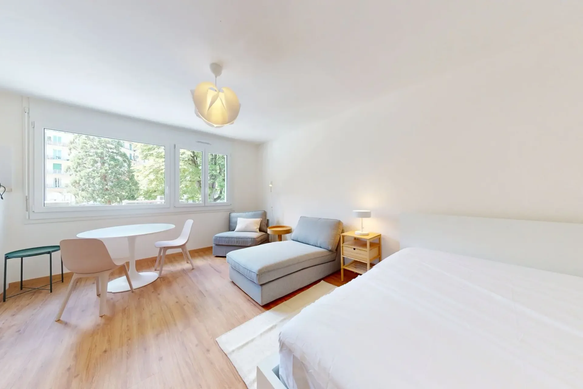 Eingerichtete 30 m² Studio mit separater Küche – Plainpalais, Genf