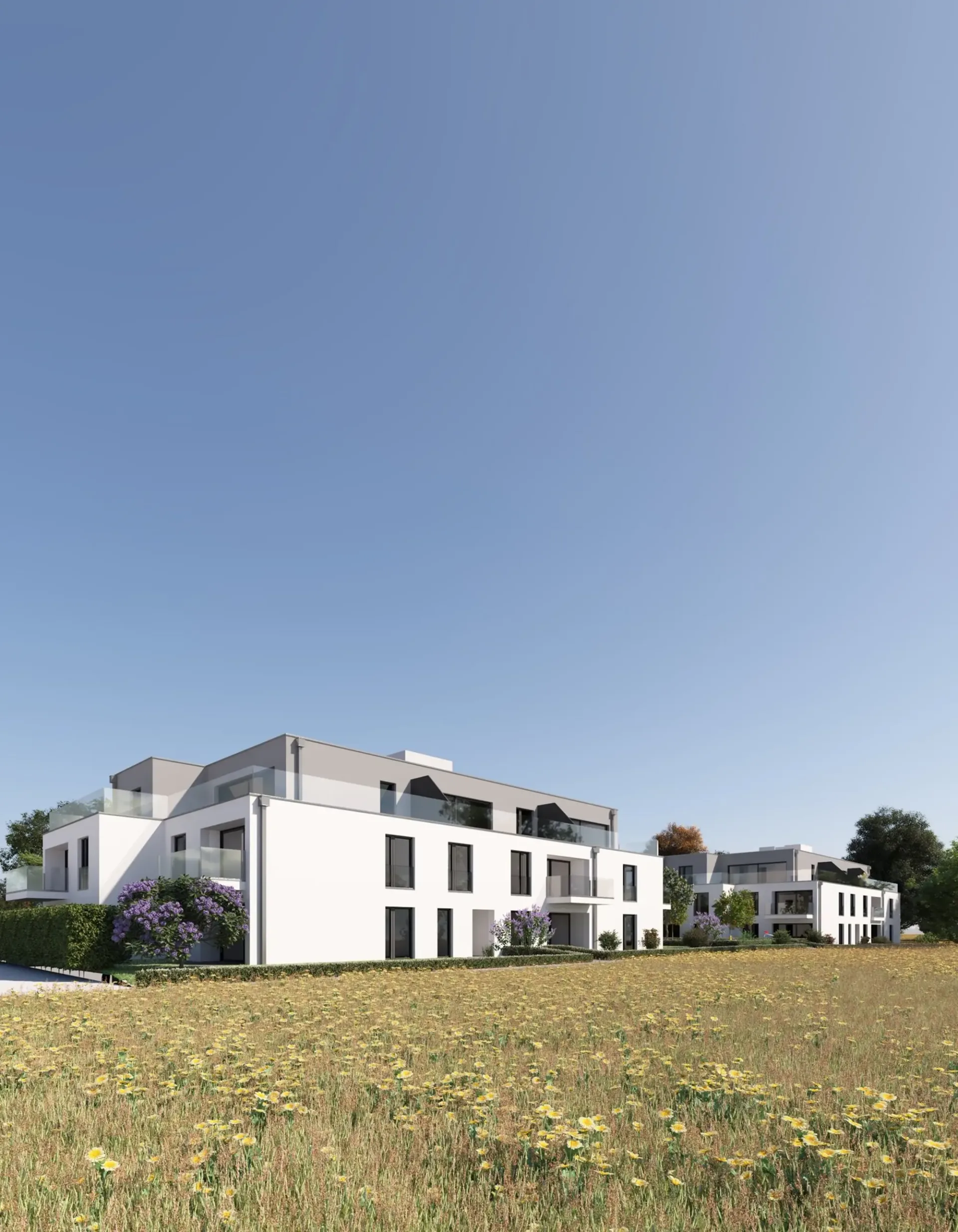 Neue 3,5-Zimmer-Wohnung in Erlach