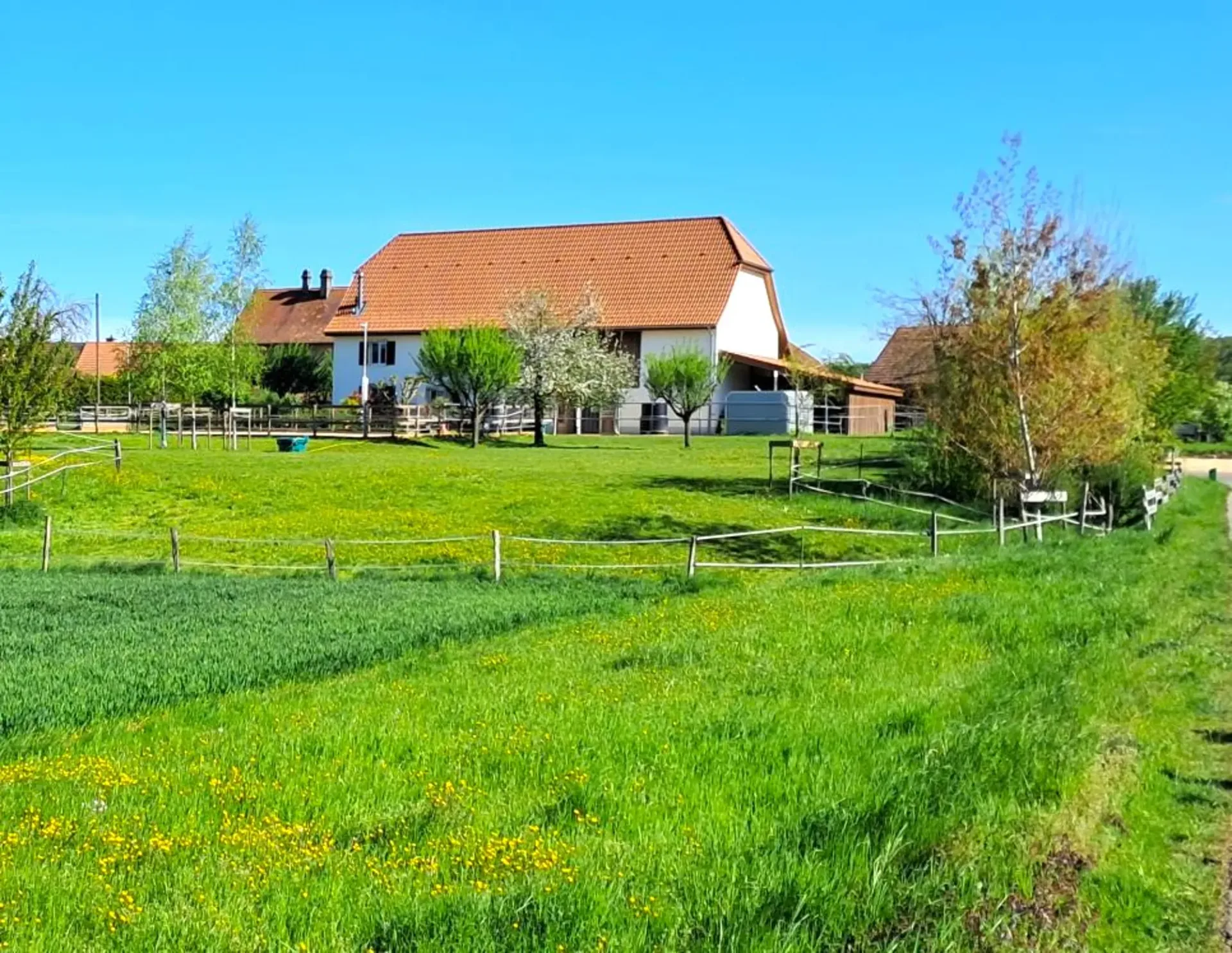 Außergewöhnliches und sehr seltenes Angebot - Wunderschönes Dorfhaus komplett renoviert auf 4'385 m²