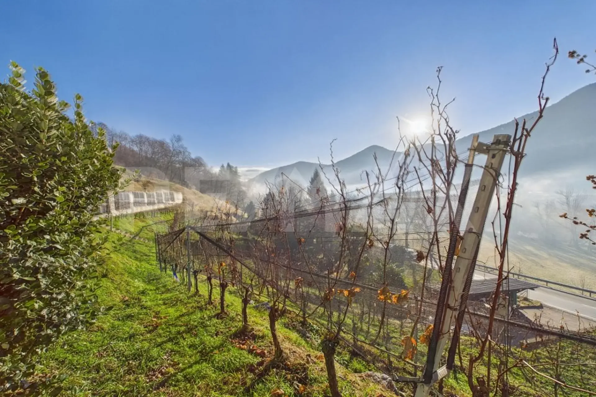 1'708 m² Bauland mit Rebberg  Tresa (Ponte Cremenaga)