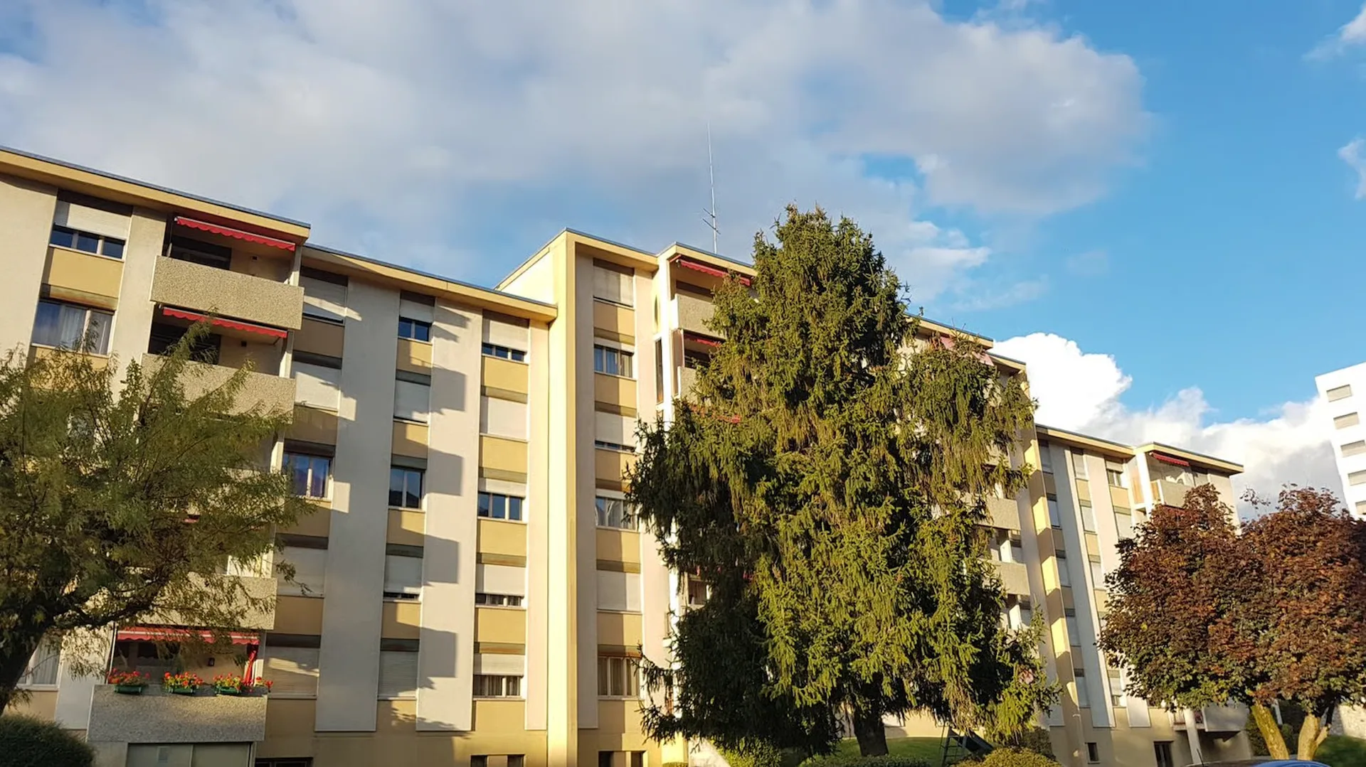 Zu vermieten, ein charmantes 3-Zimmer-Apartment im Westeingang von Sion!