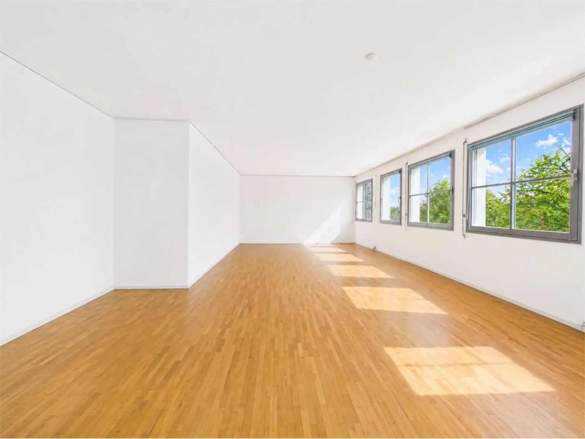 Geräumiges Büro/Wohnung in der Innenstadt von Viganello