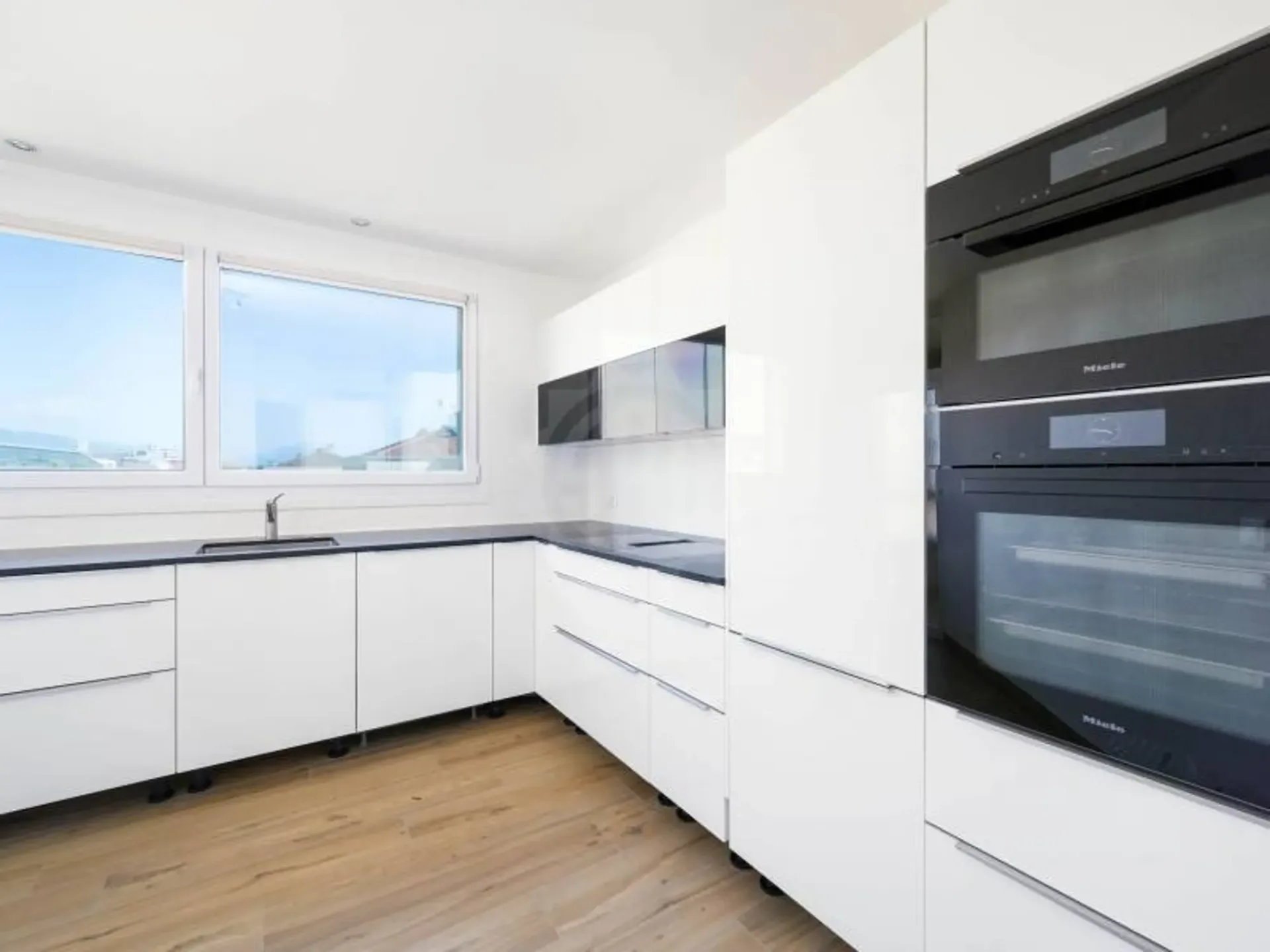 Magnificent apartment - Geneva