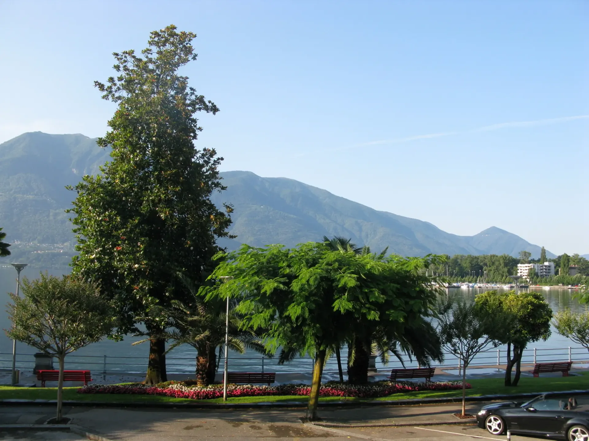 Affittasi, Appartamento di vacanze, 6600 Muralto, Rif. 96169