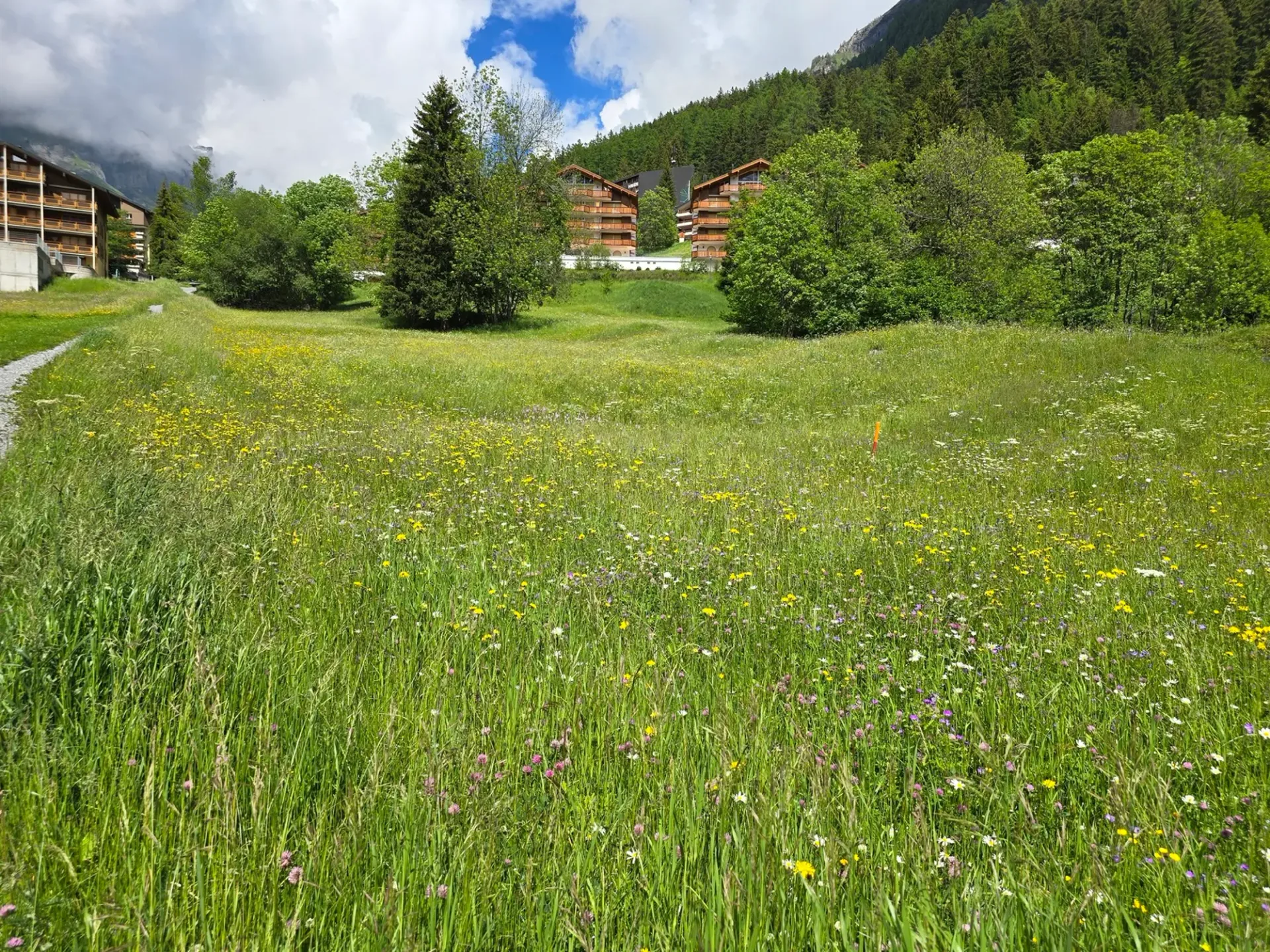 Bauplatz - 953 M2 - Leukerbad - Ref. 10245442
