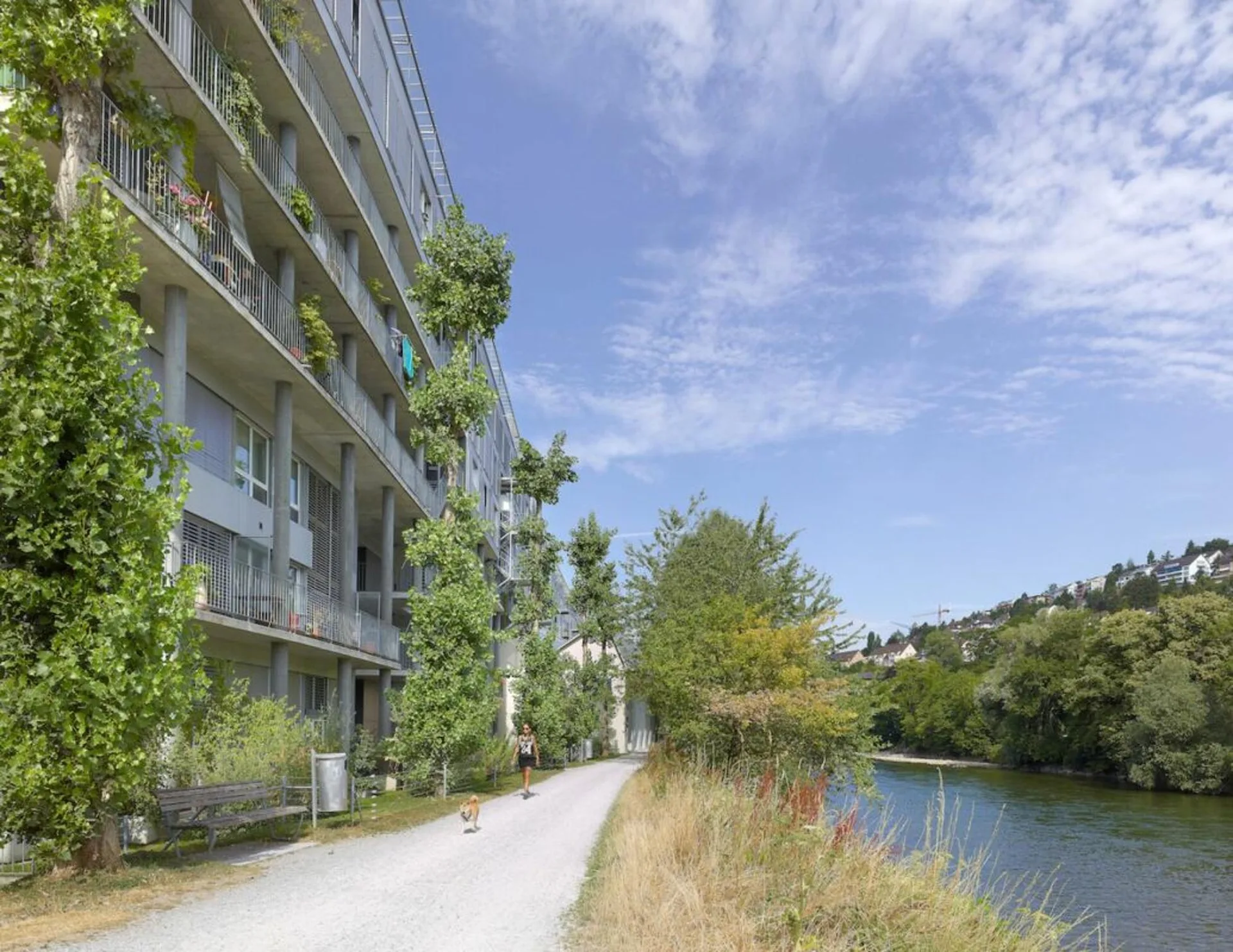 4.5 rooms + 5.5 rooms river apartments in Zurich, Unterengstringen and Vogelsang - No lake access but directly on the Limmat