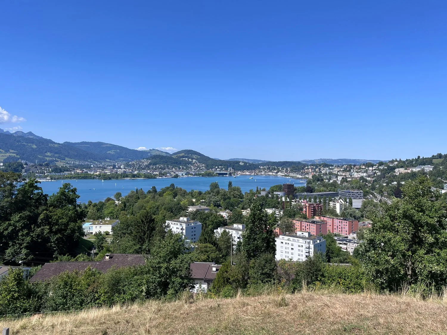 Appartamento di 2,5 locali curato nel quartiere di Würzenbach
