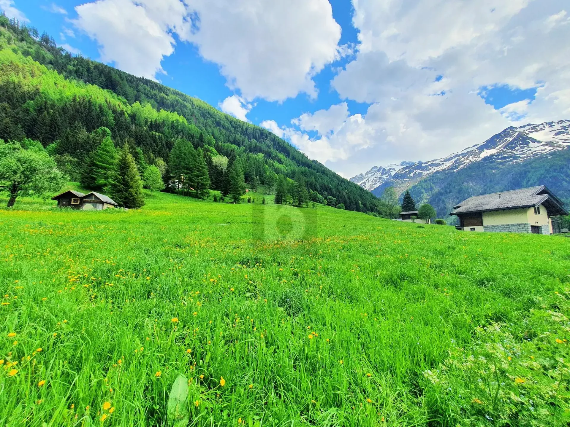 BAUAUFSTÄNDIGE, LANDWIRTSCHAFTLICHE UND WALDLÄNDISCHE GRÜNDSTÜCKE